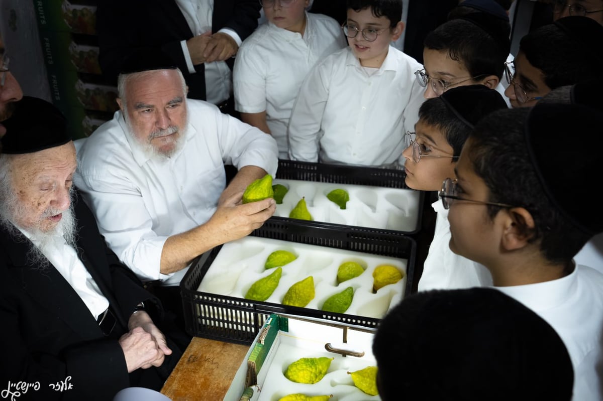 הגרב"ד פוברסקי בבדיקת אתרוגים לחג הסוכות 