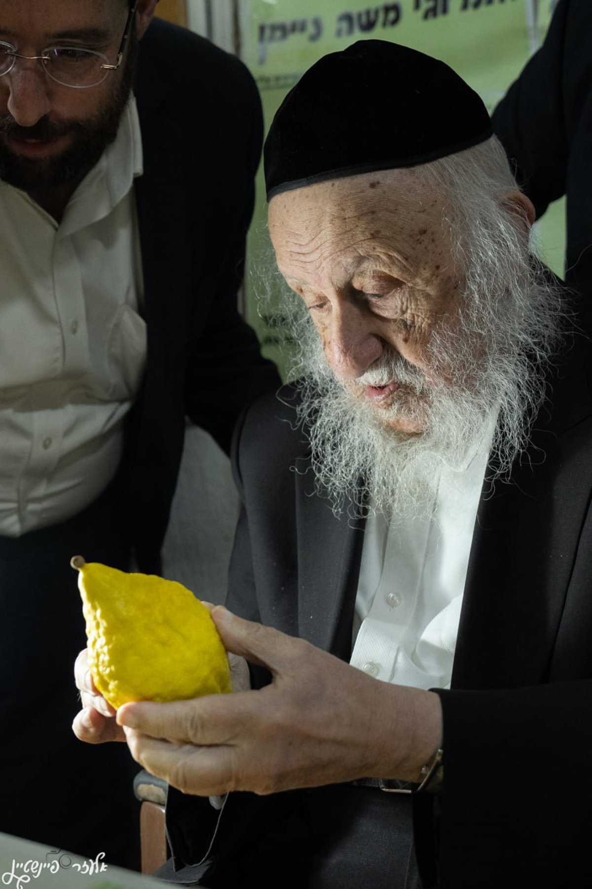 הגרב"ד פוברסקי בבדיקת אתרוגים לחג הסוכות 