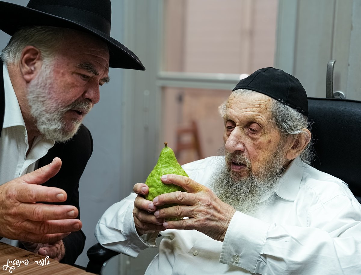 הגאון רבי דב לנדו בבדיקת אתרוגים לחג סוכות 