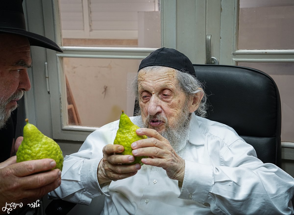 הגאון רבי דב לנדו בבדיקת אתרוגים לחג סוכות 