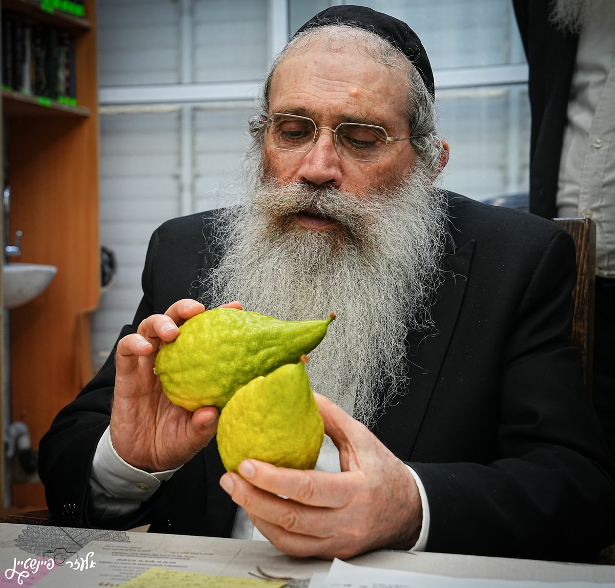 הגאון רבי שרגא שטיינמן בבחירת אתרוג לסוכות 