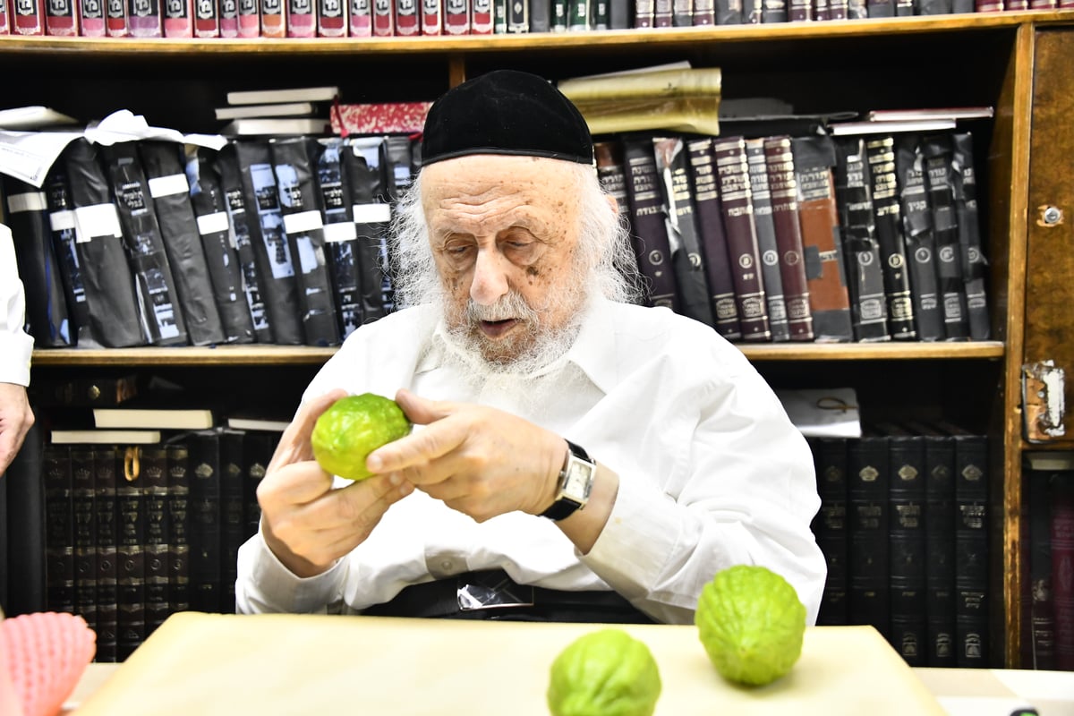 הגאון רבי ברוך דב פוברסקי בבדיקת ד' מינים 