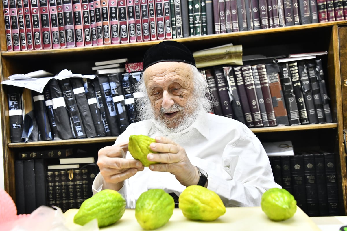 הגאון רבי ברוך דב פוברסקי בבדיקת ד' מינים 