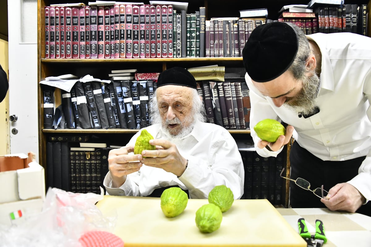 הגאון רבי ברוך דב פוברסקי בבדיקת ד' מינים 