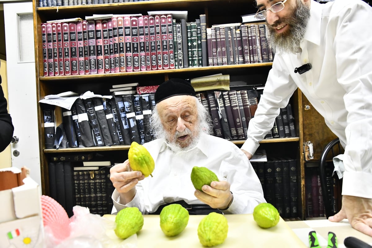 הגאון רבי ברוך דב פוברסקי בבדיקת ד' מינים 