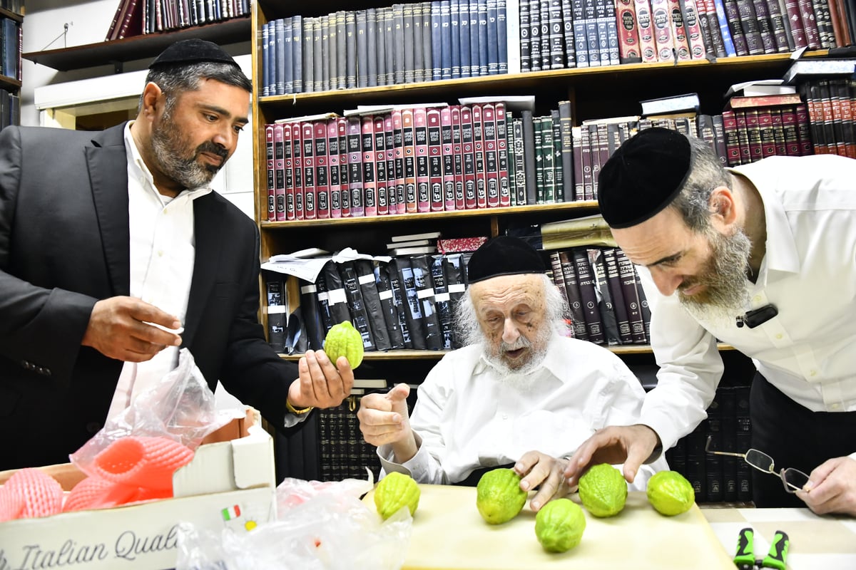 הגאון רבי ברוך דב פוברסקי בבדיקת ד' מינים 