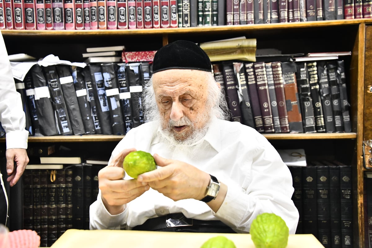 הגאון רבי ברוך דב פוברסקי בבדיקת ד' מינים 