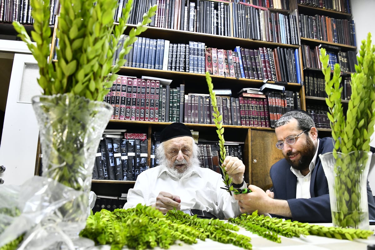 הגאון רבי ברוך דב פוברסקי בבדיקת ד' מינים 