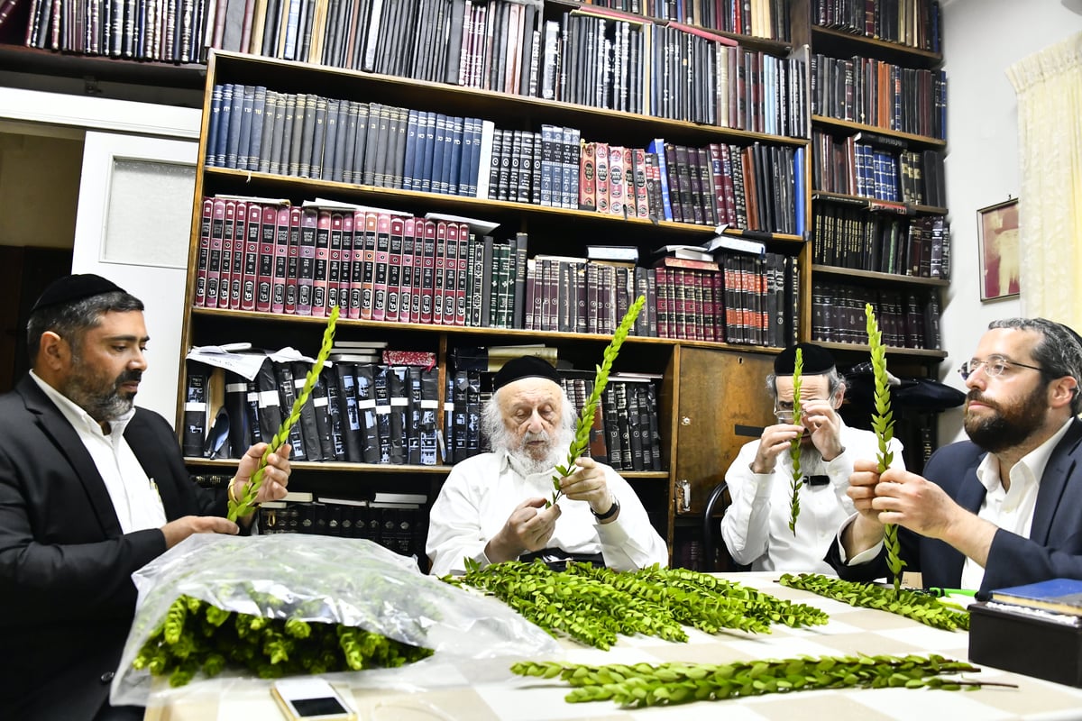 הגאון רבי ברוך דב פוברסקי בבדיקת ד' מינים 