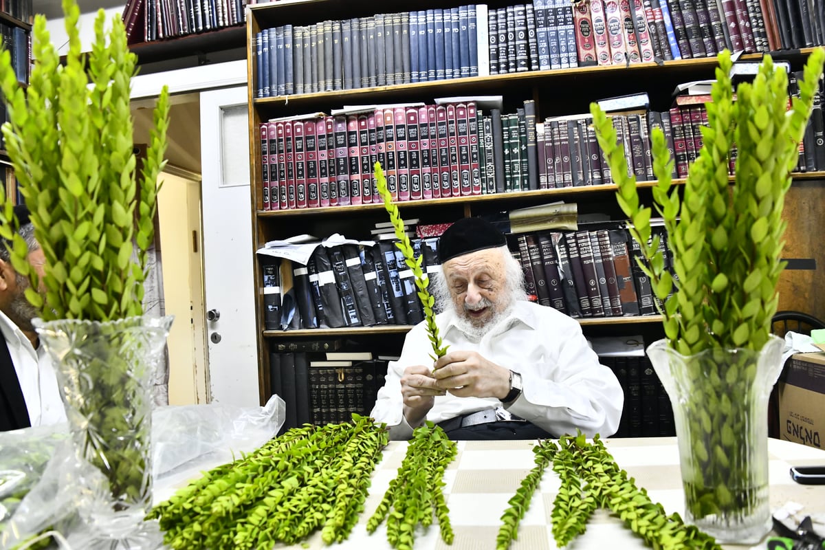 הגאון רבי ברוך דב פוברסקי בבדיקת ד' מינים 