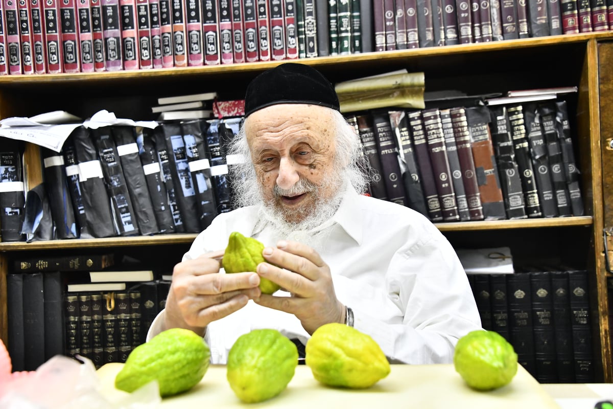 הגאון רבי ברוך דב פוברסקי בבדיקת ד' מינים 