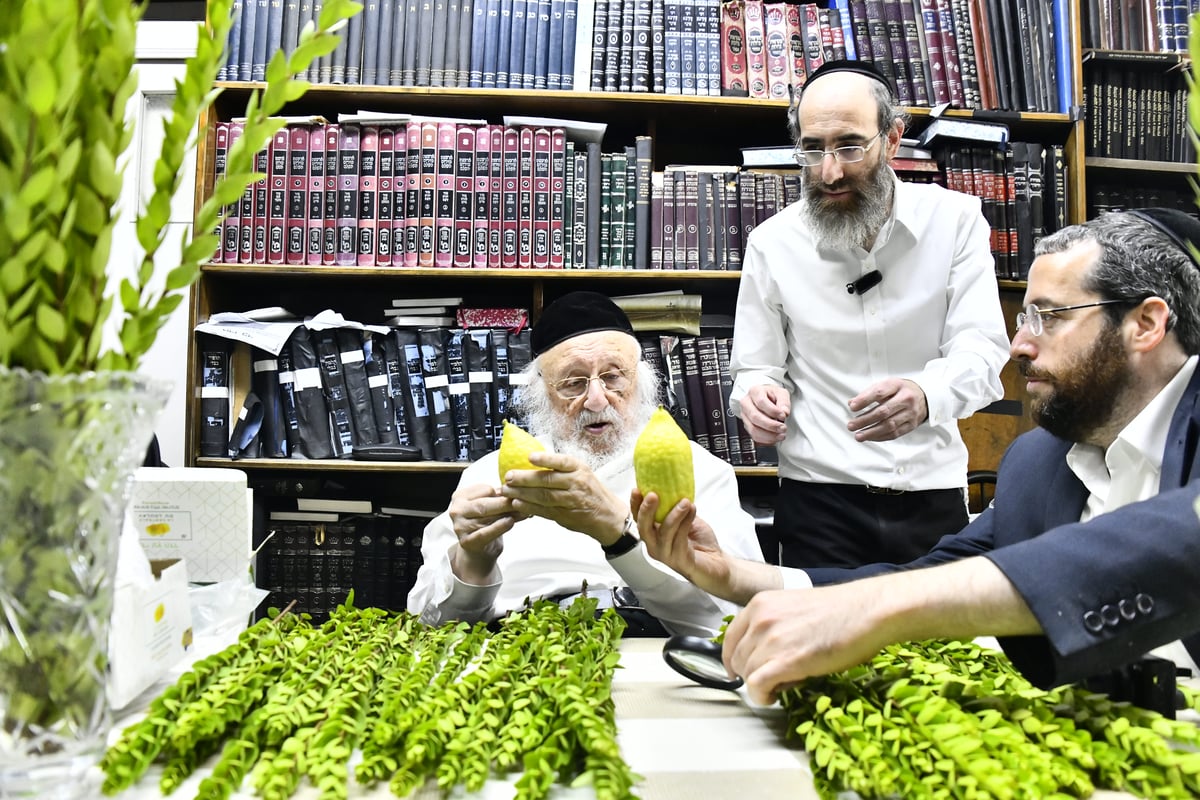 הגאון רבי ברוך דב פוברסקי בבדיקת ד' מינים 