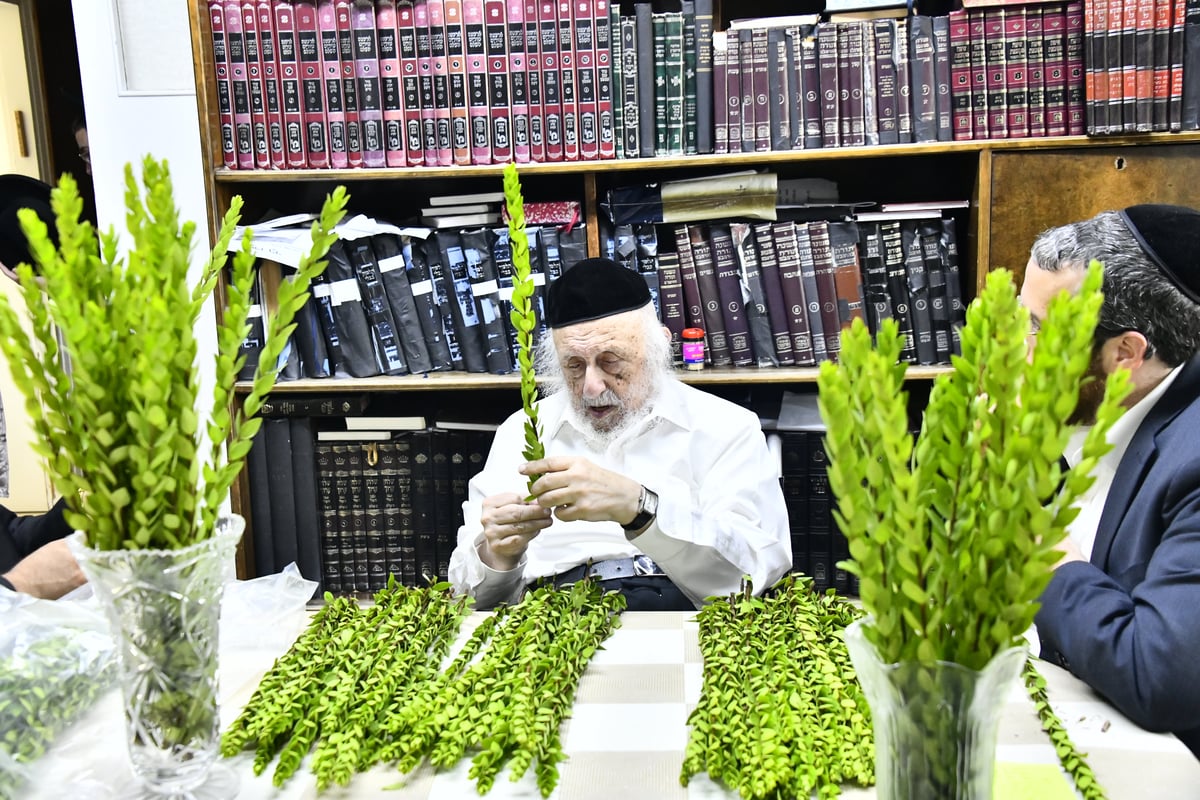 הגאון רבי ברוך דב פוברסקי בבדיקת ד' מינים 