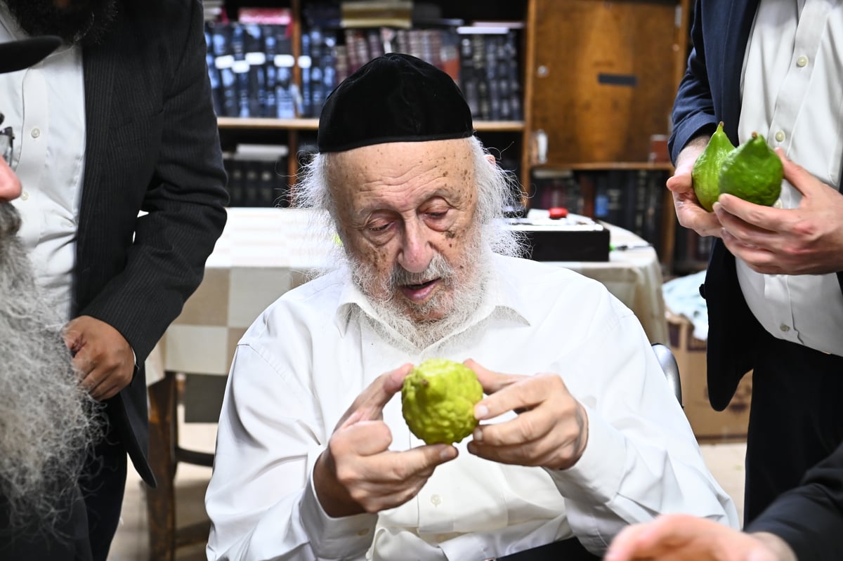 הגאון רבי ברוך דב פוברסקי בבדיקת ד' מינים 