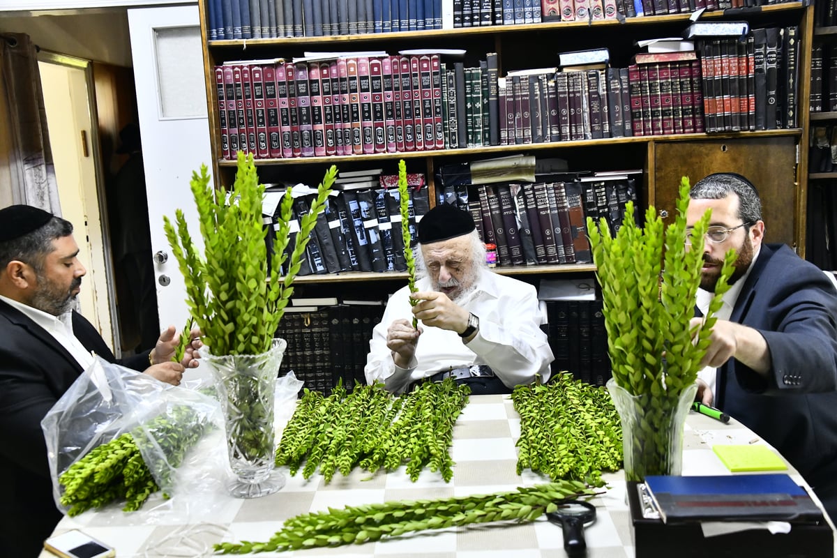 הגאון רבי ברוך דב פוברסקי בבדיקת ד' מינים 