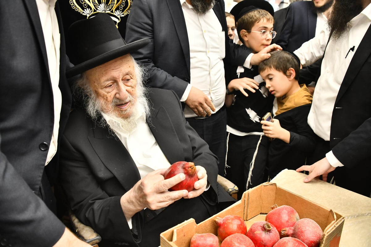 הגאון רבי ברוך דב פוברסקי בקביעת מזוזה ב'בית השם' 