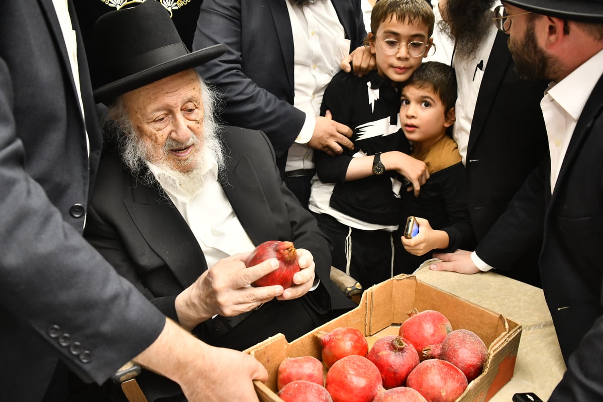 הגאון רבי ברוך דב פוברסקי בקביעת מזוזה ב'בית השם' 