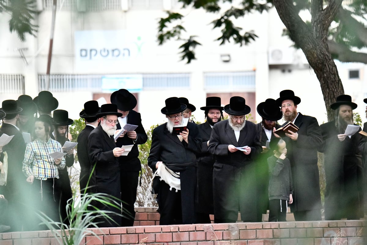 האדמו"ר מבוהוש בתשליך 