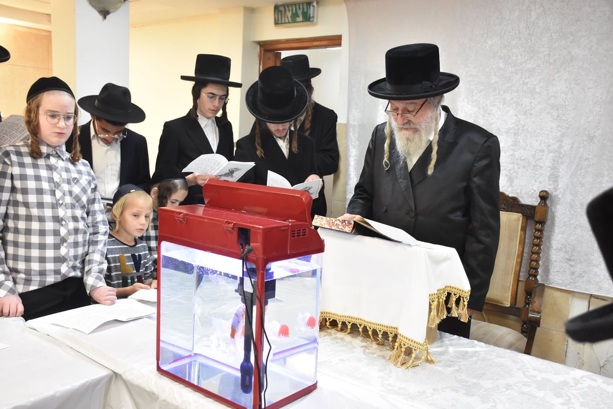 ערב ומוצאי יום כיפור בחצה"ק אשלג 