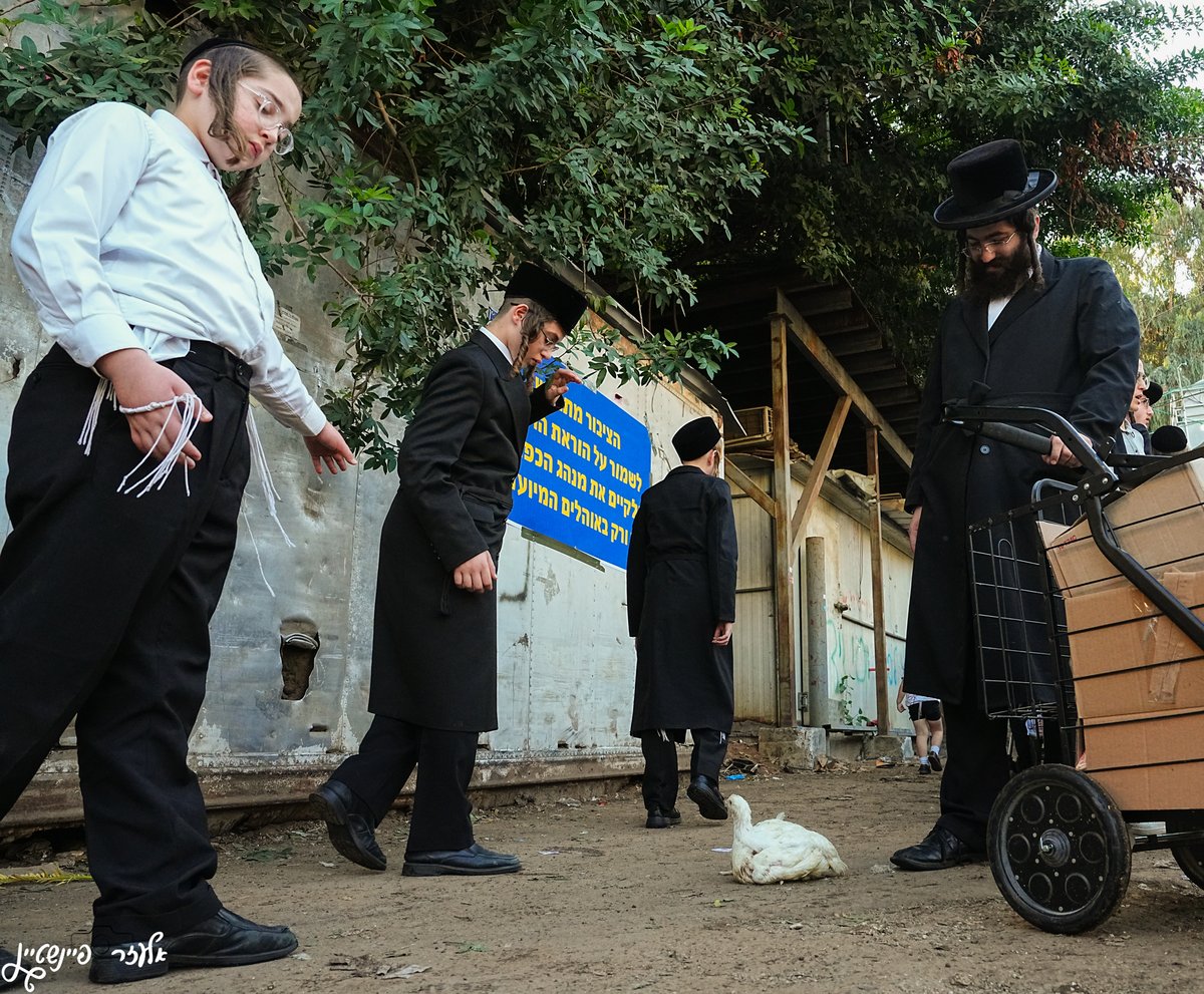 ערב יום כיפור בבני ברק 