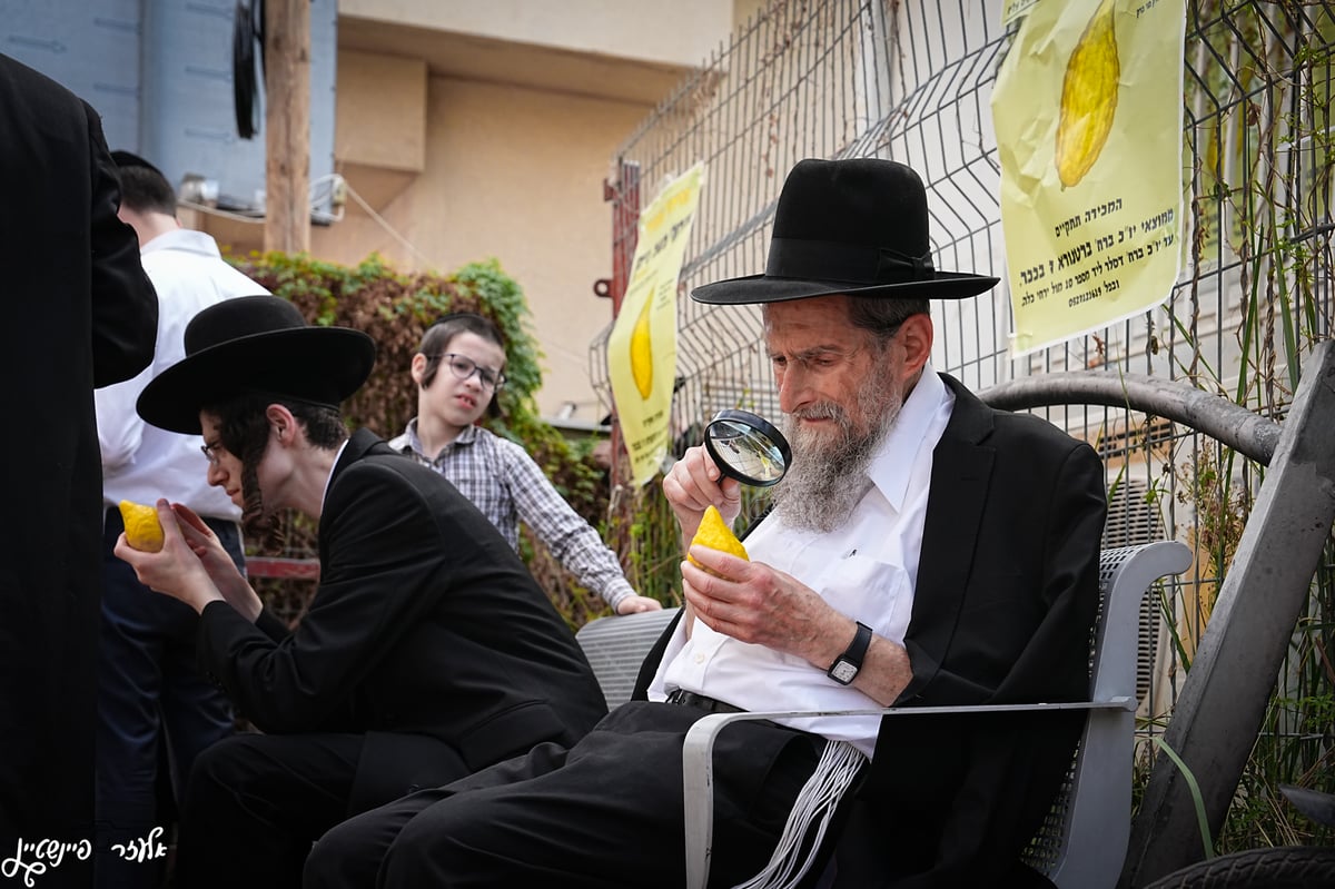 אווירת ערב חג ברחובותיה של העיר בני ברק 