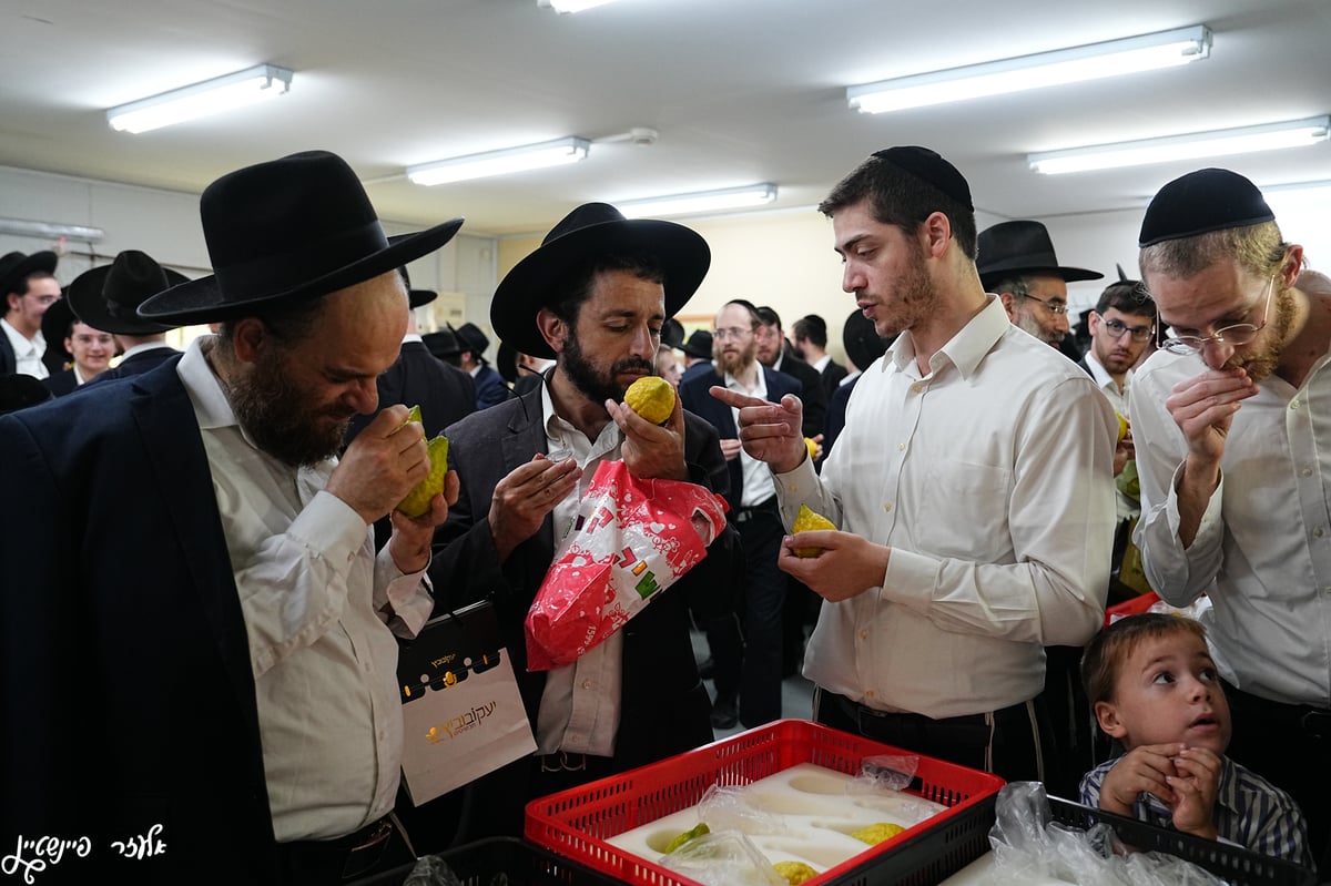 אווירת ערב חג ברחובותיה של העיר בני ברק 