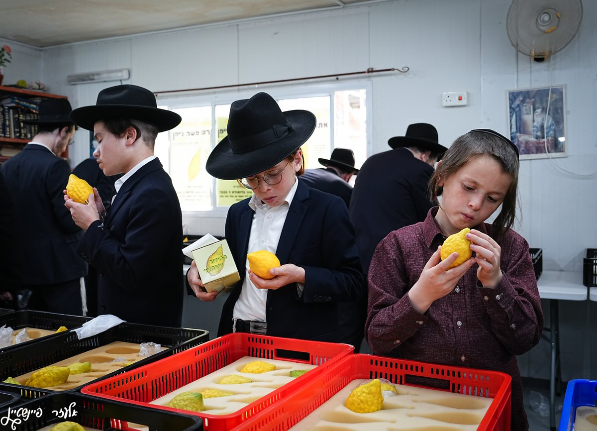 אווירת ערב חג ברחובותיה של העיר בני ברק 