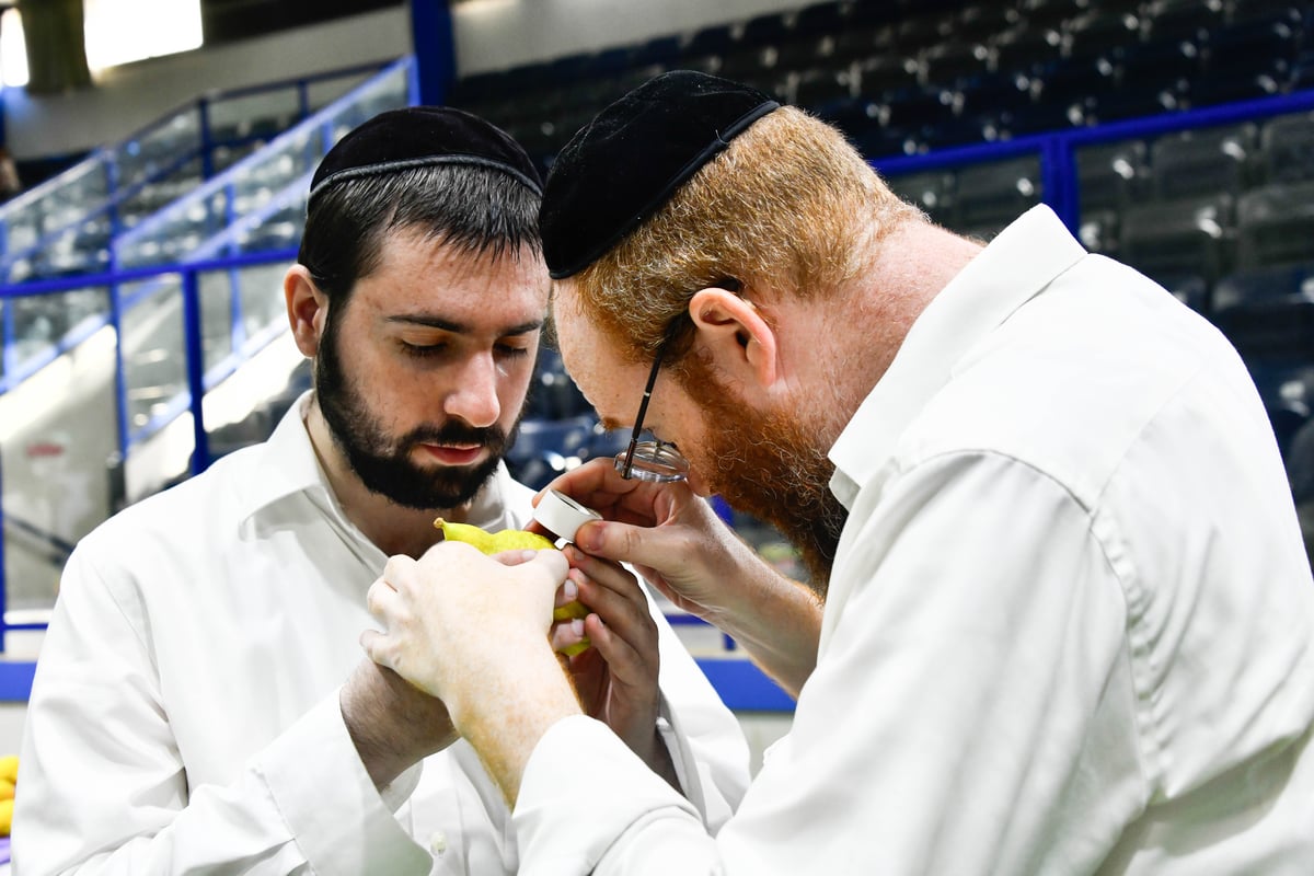 ערב חג הסוכות ברחובות בני ברק 