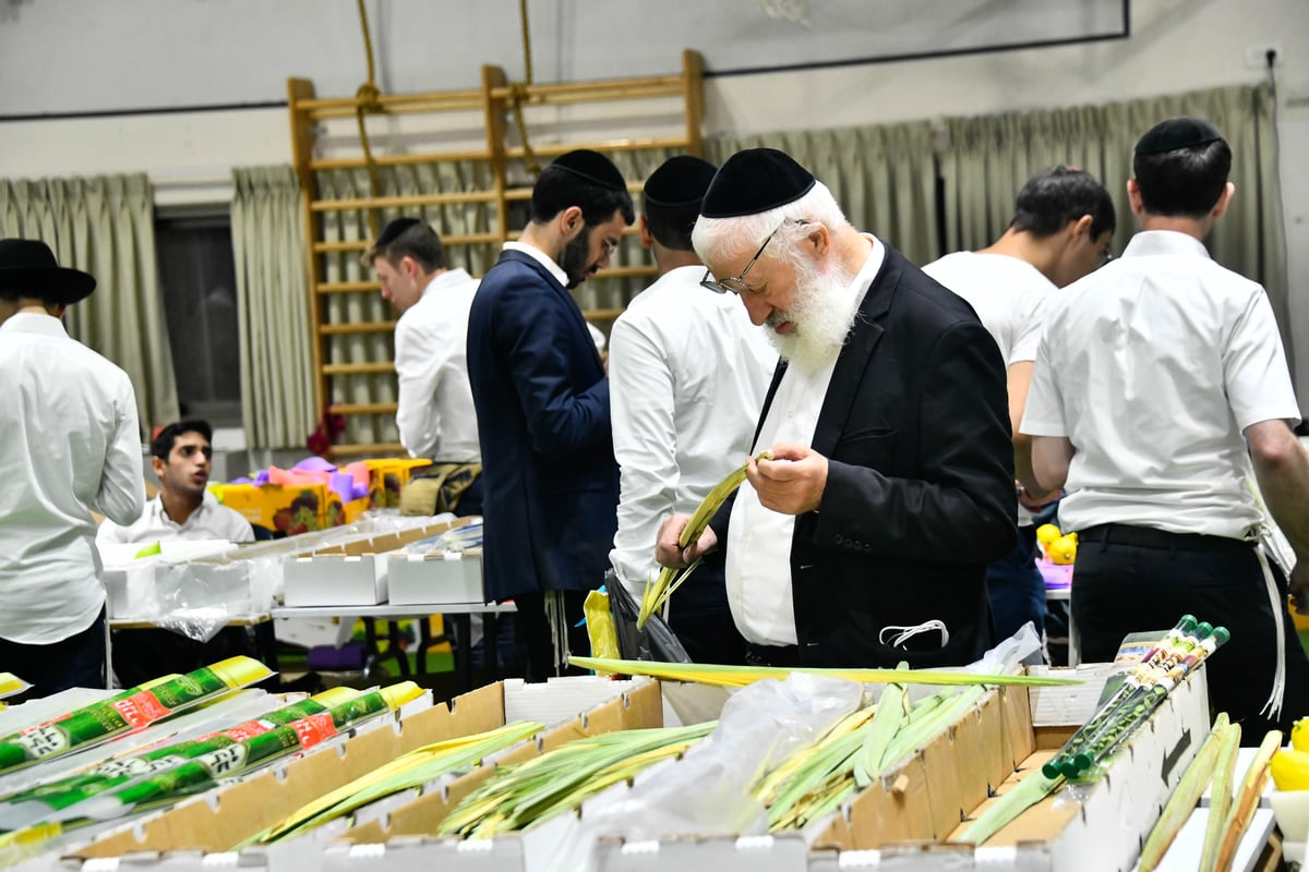 ערב חג הסוכות ברחובות בני ברק 