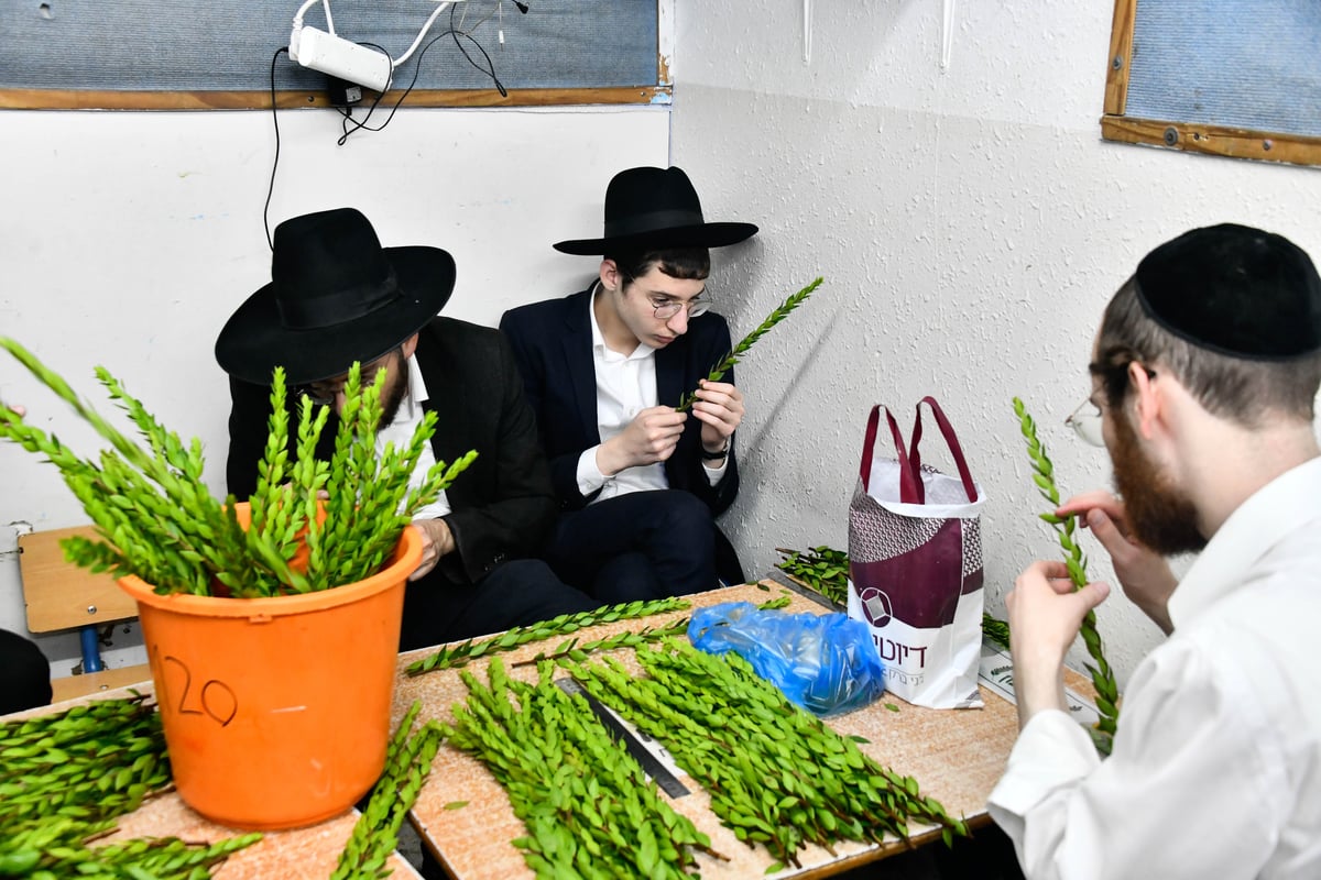 ערב חג הסוכות ברחובות בני ברק 