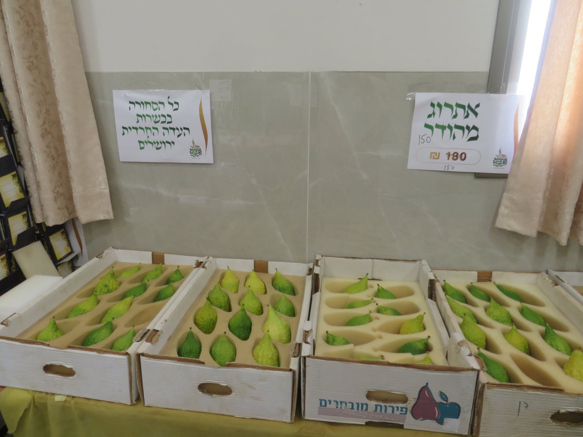 אווירת ערב חג הסוכות בעיר אלעד 