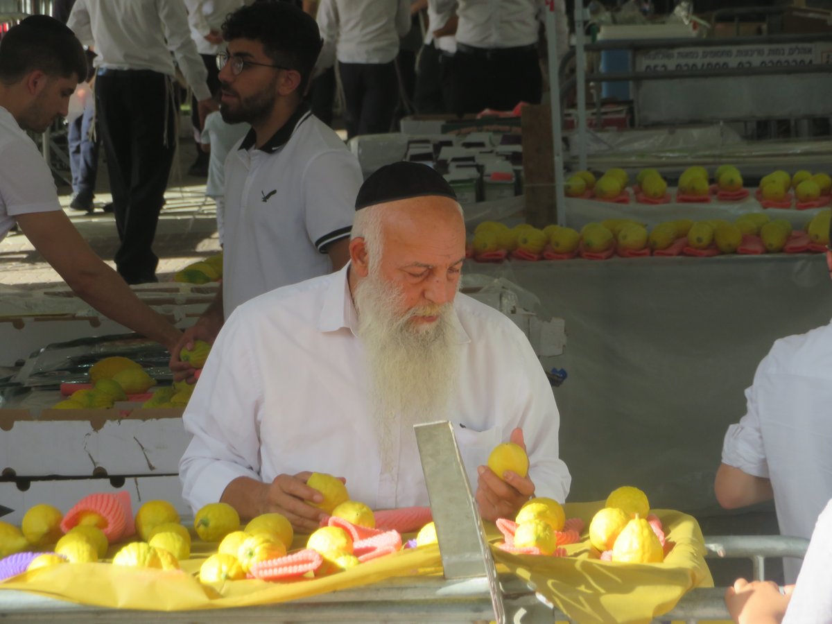 אווירת ערב חג הסוכות בעיר אלעד 