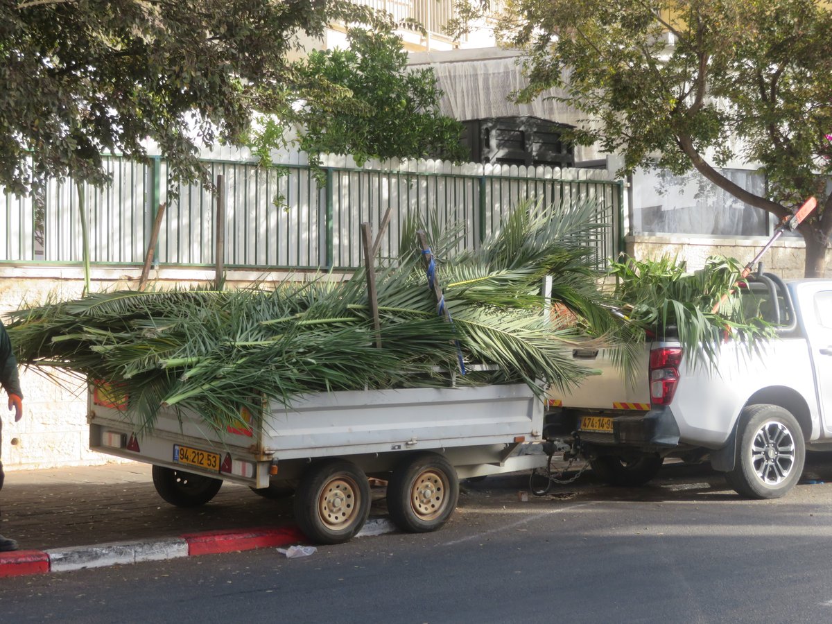 אווירת ערב חג הסוכות בעיר אלעד 