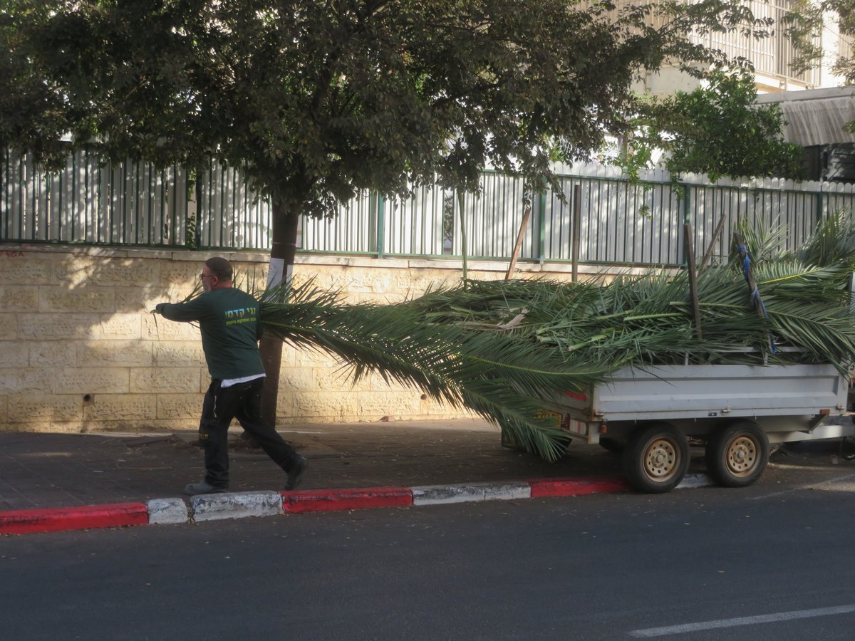 אווירת ערב חג הסוכות בעיר אלעד 