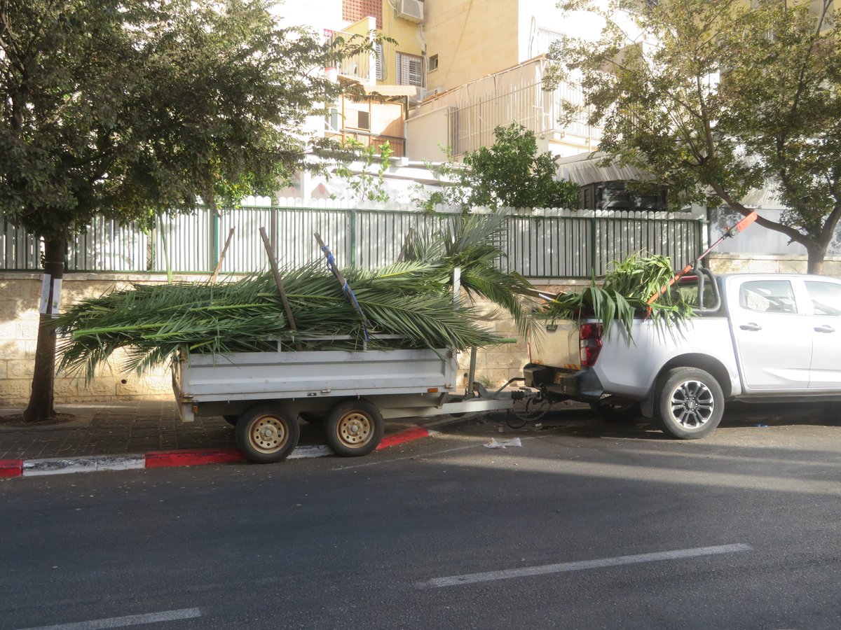 אווירת ערב חג הסוכות בעיר אלעד 