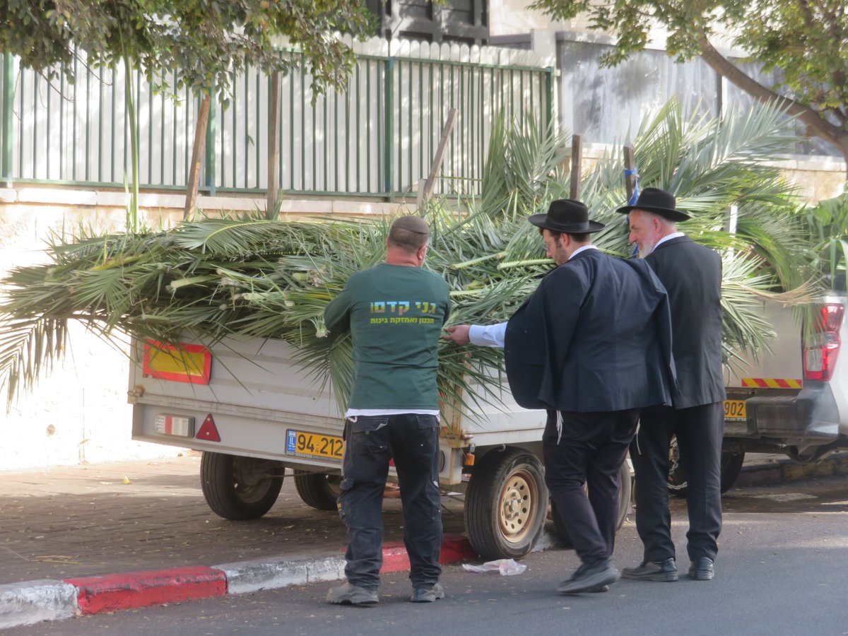 אווירת ערב חג הסוכות בעיר אלעד 