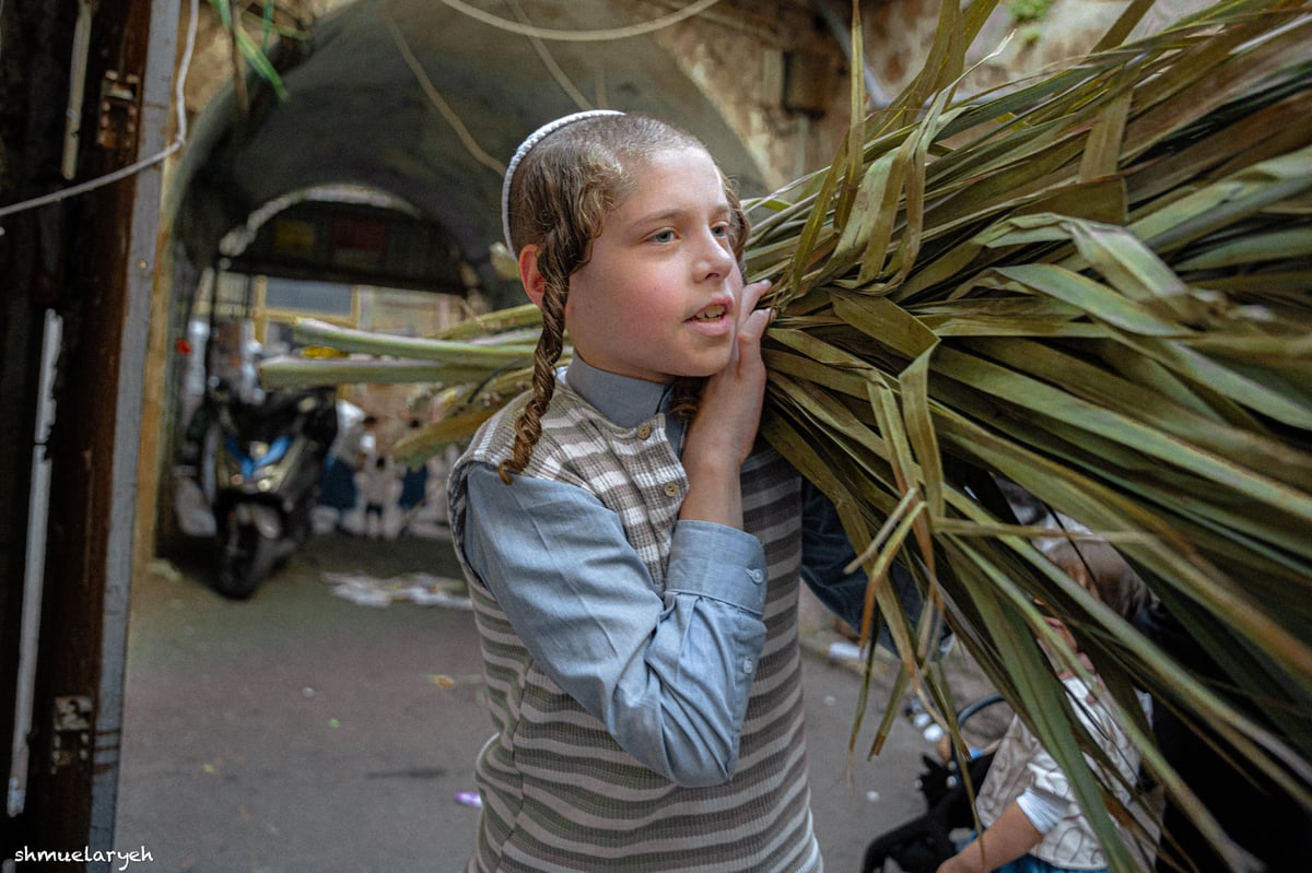 ערב חג סוכות תשפ"ה