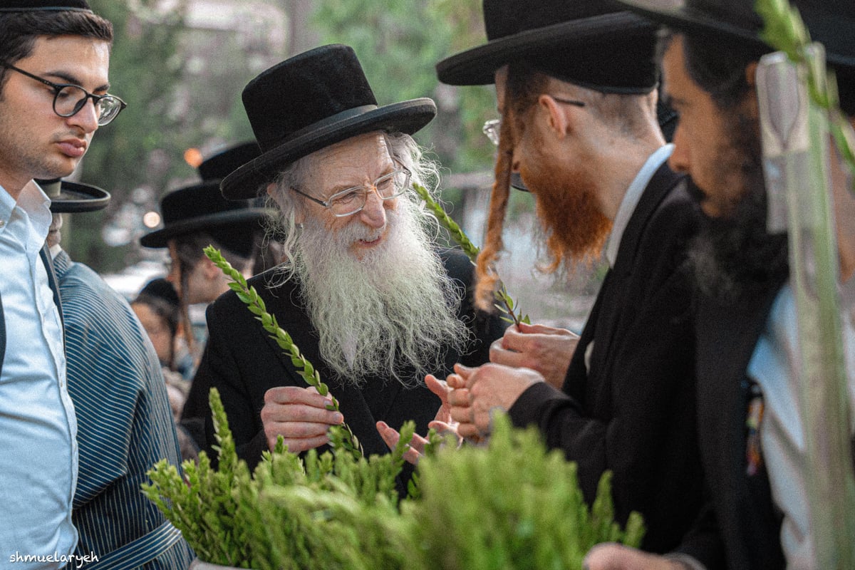 ערב חג סוכות תשפ"ה