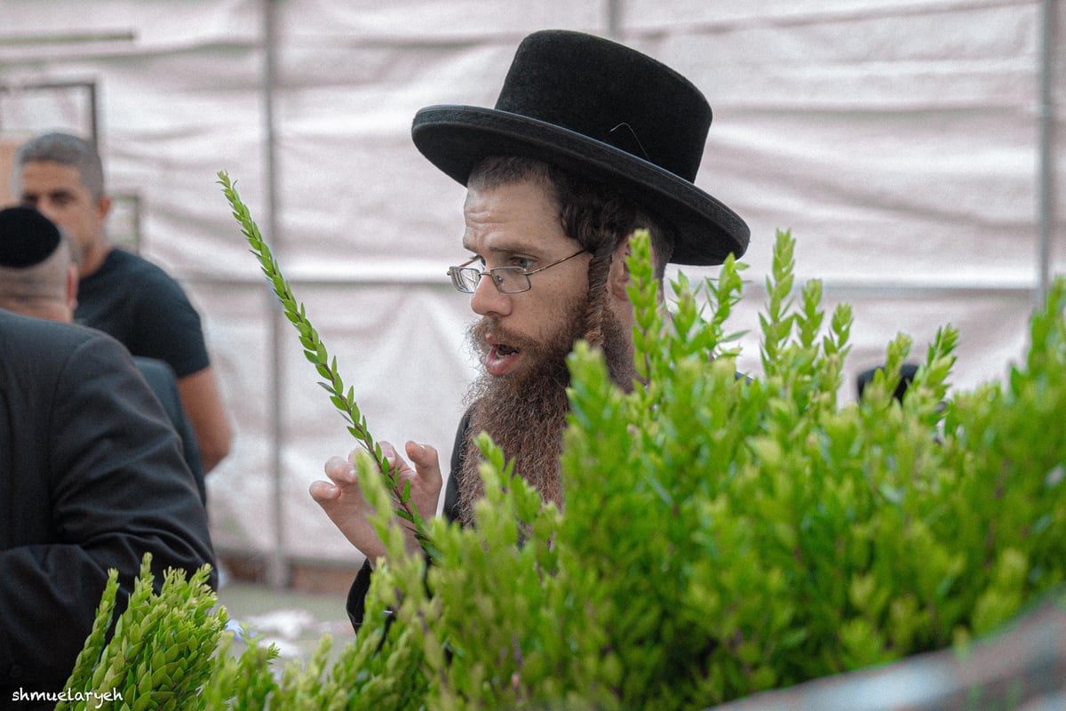 ערב חג סוכות תשפ"ה