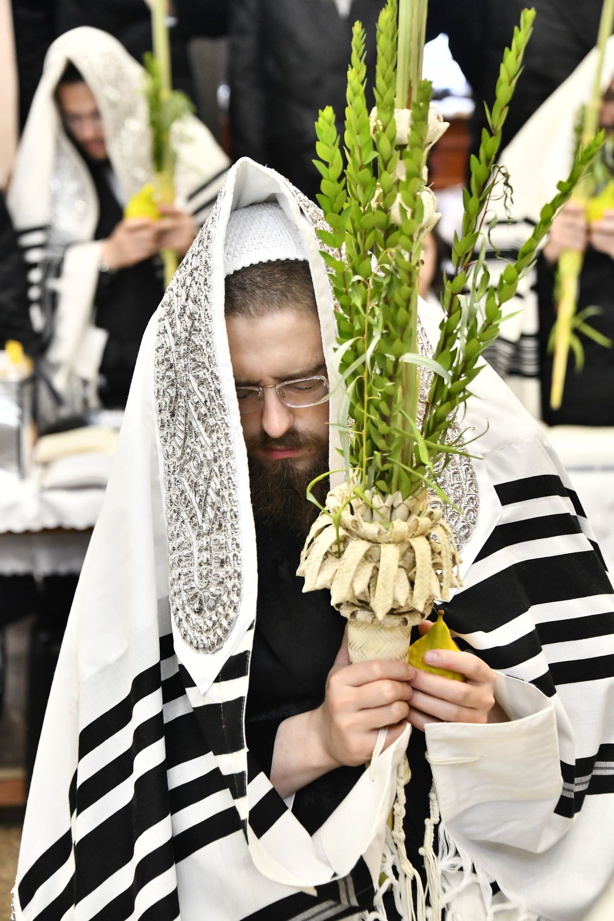 האדמו"ר מסאדיגורה בנטילת לולב 