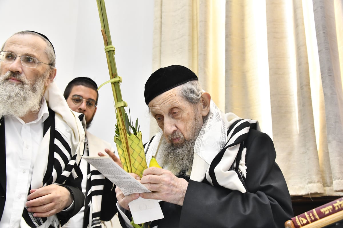 הגר"ד לנדו, והגרמ"ה הירש בנטילת לולב 