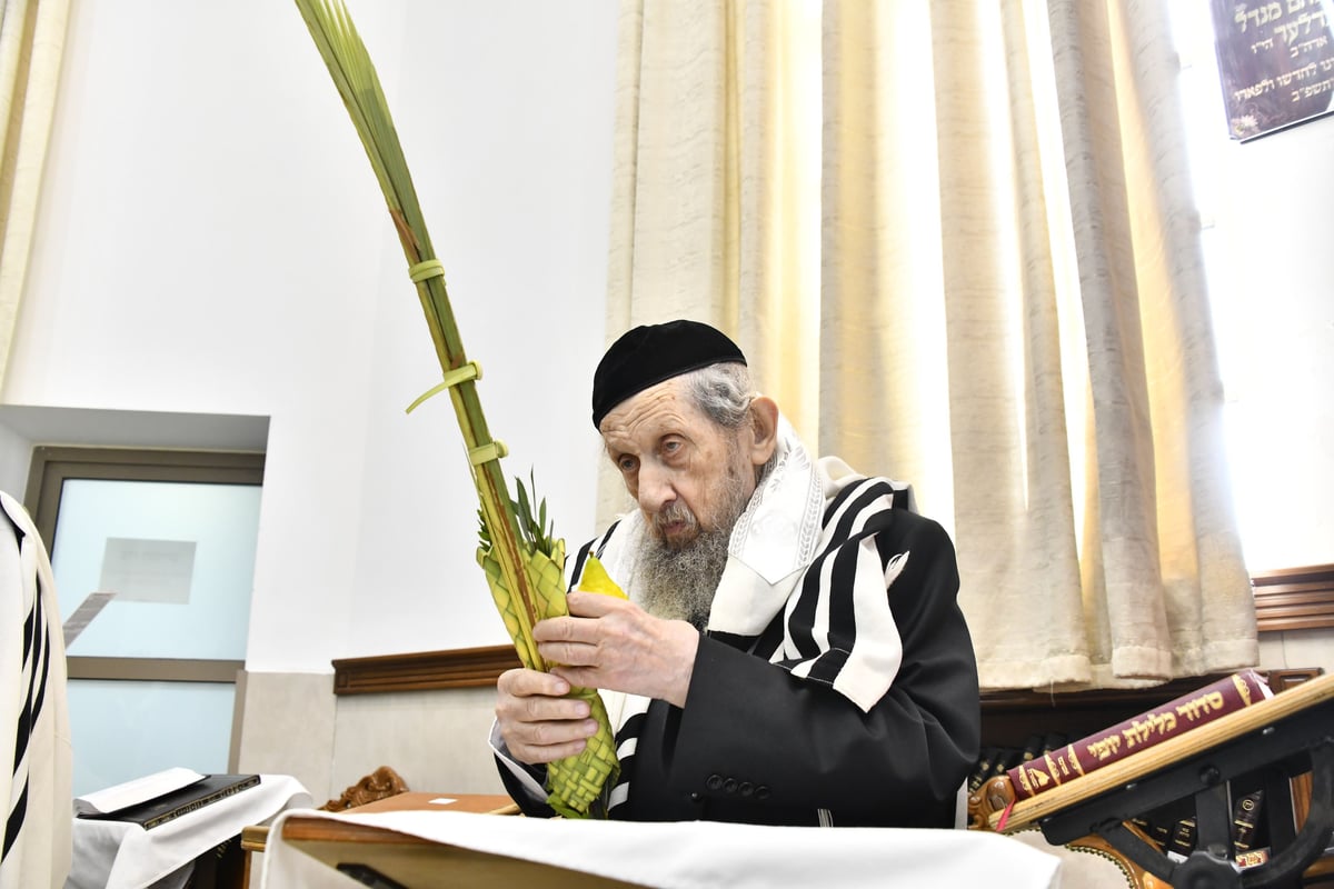 הגר"ד לנדו, והגרמ"ה הירש בנטילת לולב 