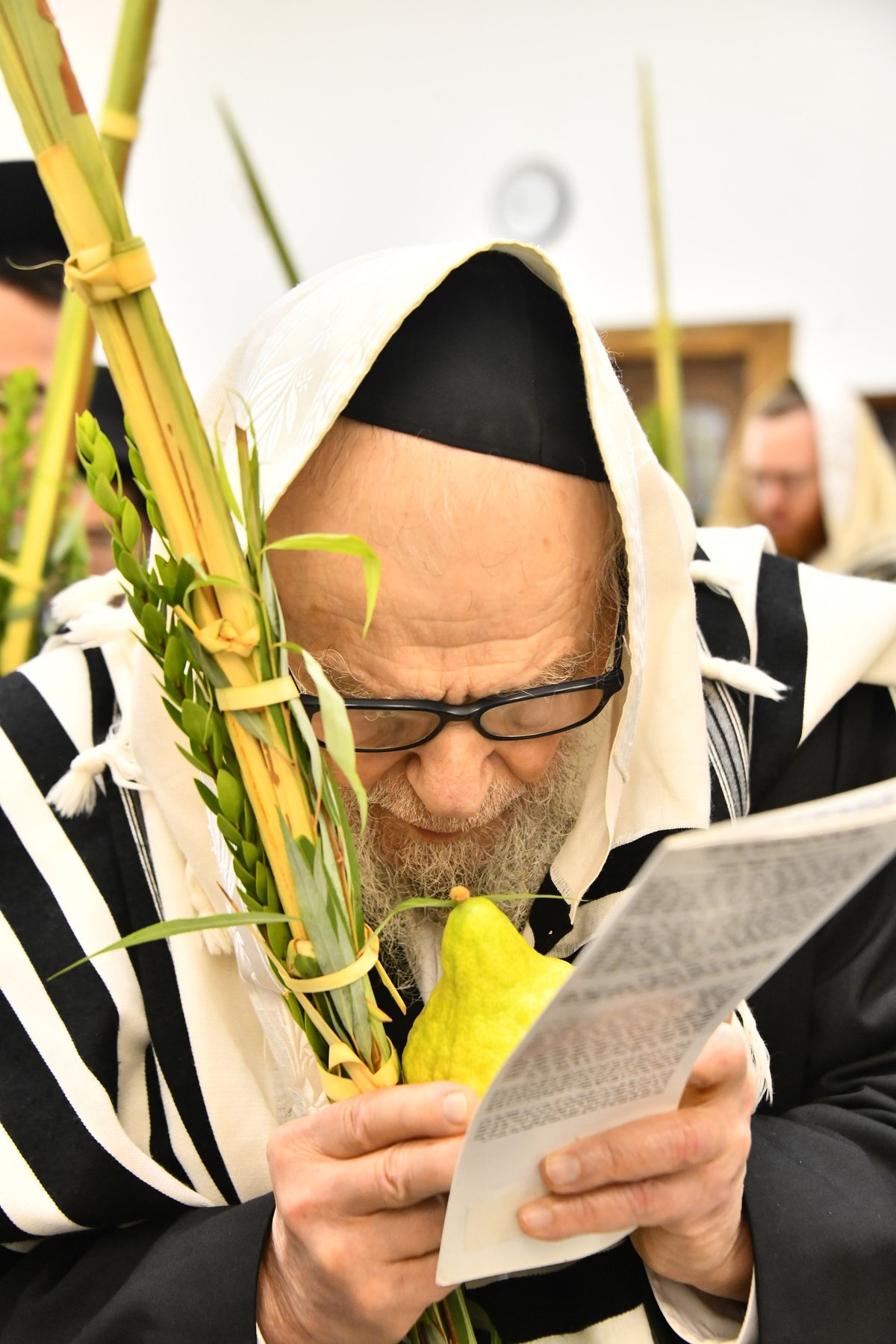 הגר"ד לנדו, והגרמ"ה הירש בנטילת לולב 