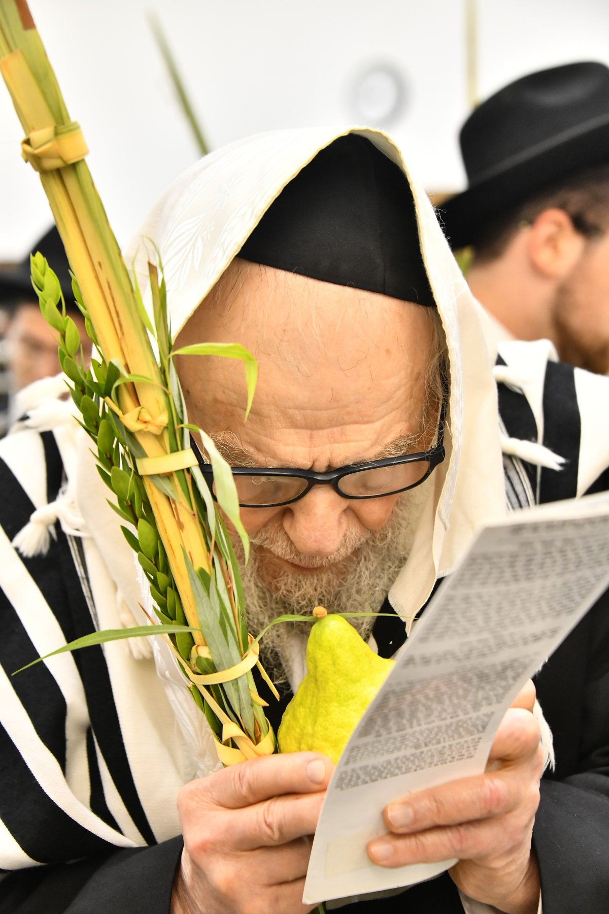 הגר"ד לנדו, והגרמ"ה הירש בנטילת לולב 