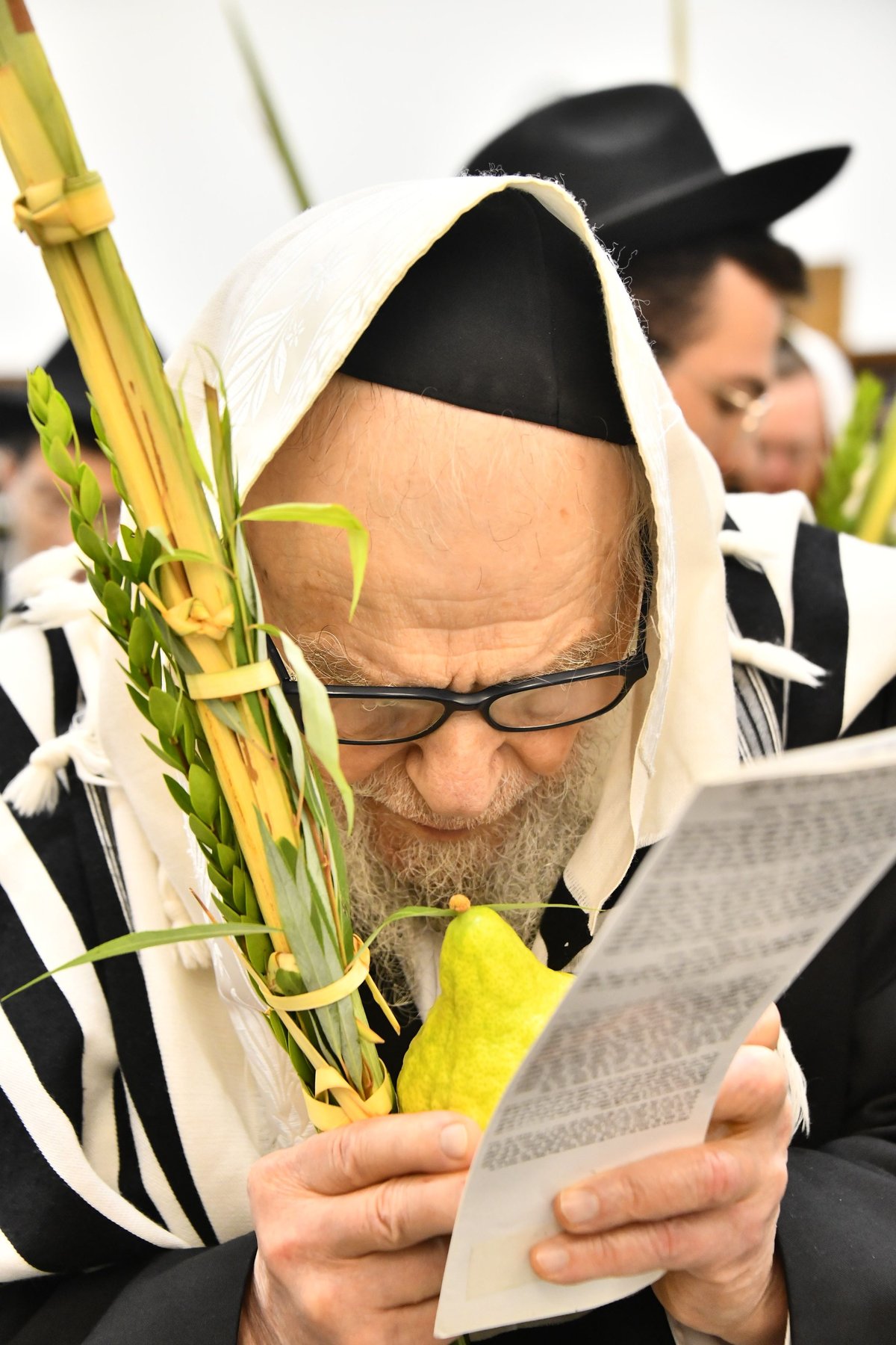 הגר"ד לנדו, והגרמ"ה הירש בנטילת לולב 