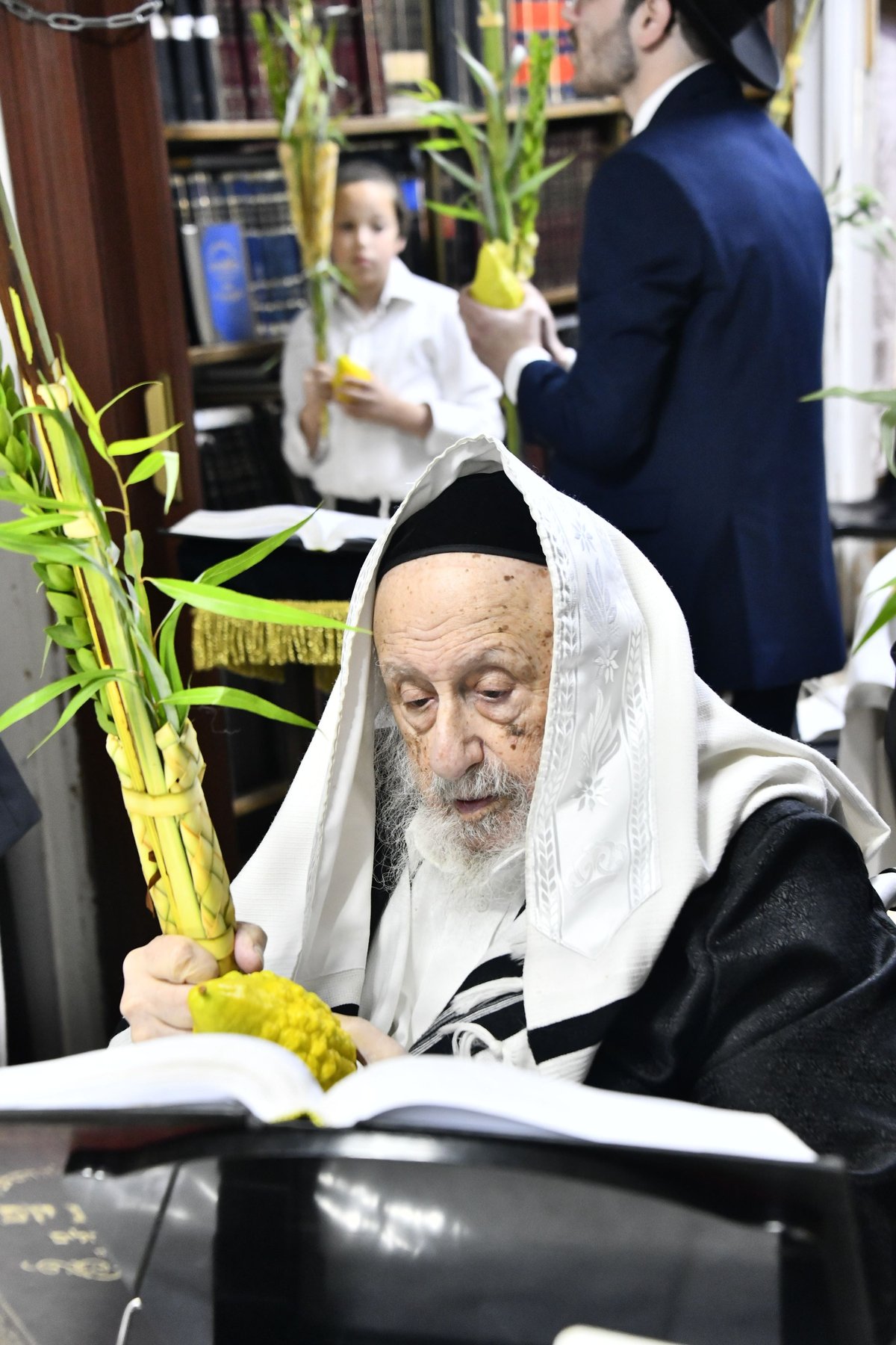 הגרב"ד פוברסקי בנטילת לולב