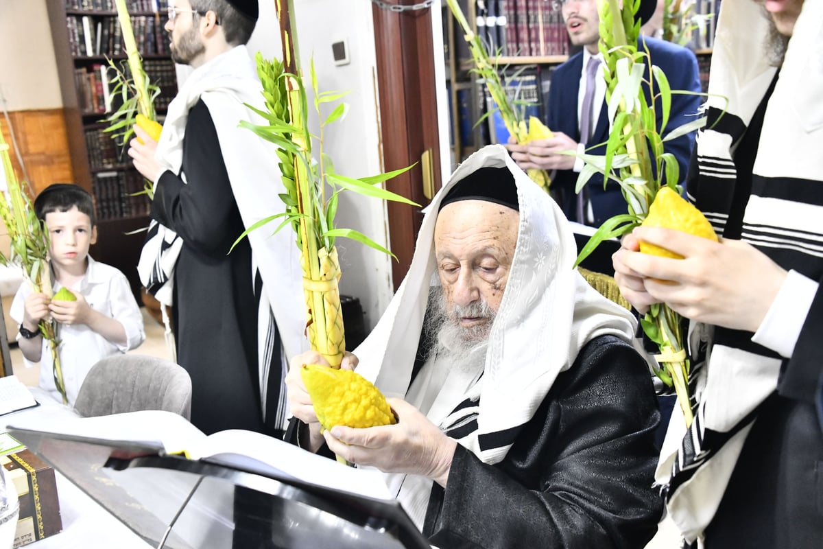 הגרב"ד פוברסקי בנטילת לולב