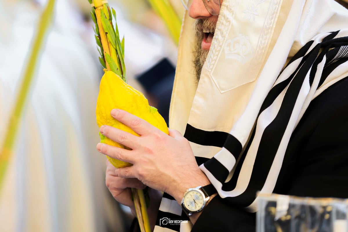 ברכת כהנים תשפ"ה