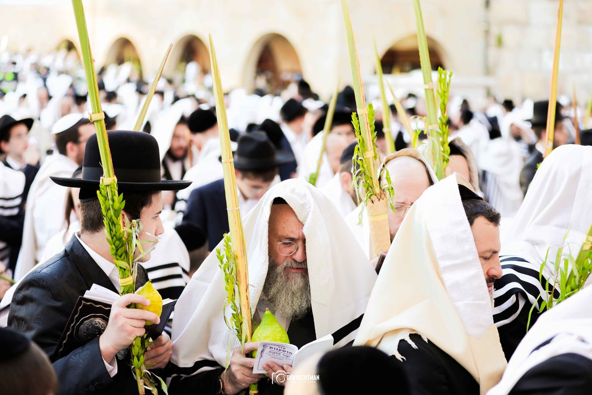 ברכת כהנים תשפ"ה