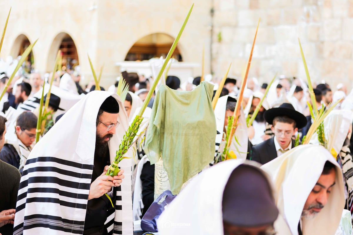 ברכת כהנים תשפ"ה